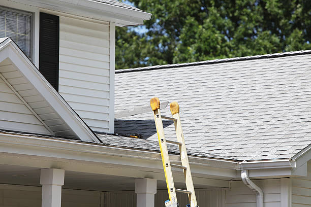 Best Shed Removal  in Ferndale, PA